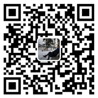 LEDONG.COM
